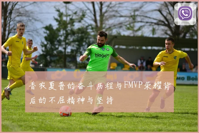香农夏普的奋斗历程与FMVP荣耀背后的不屈精神与坚持